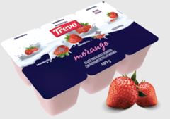 IOGURTE MORANGO TREVO 480G
