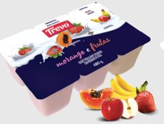 IOGURTE MORANGO E FRUTAS TREVO 480G